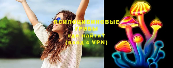 spice Надым